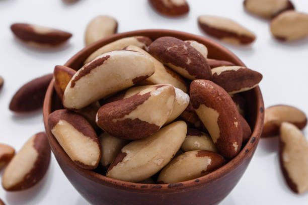 istock brazil nut on a white acrylic background 1070027790
