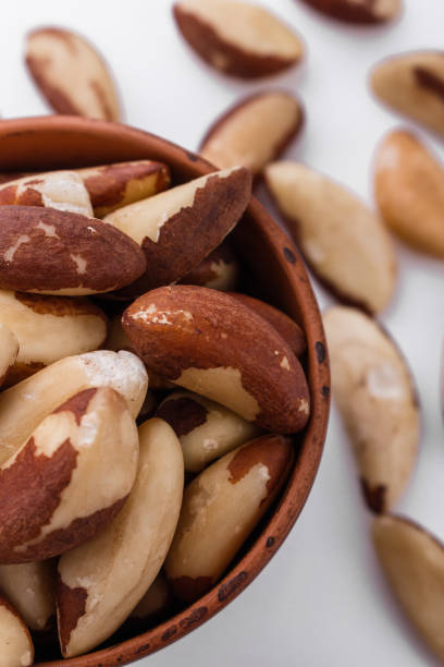 istock brazil nut on a white acrylic background 1070028832