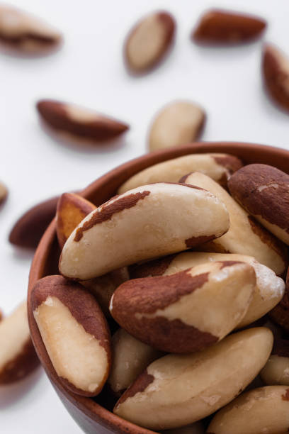 istock brazil nut on a white acrylic background 1070028846
