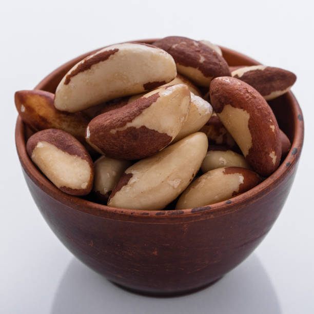 istock brazil nut on a white acrylic background 1070028924