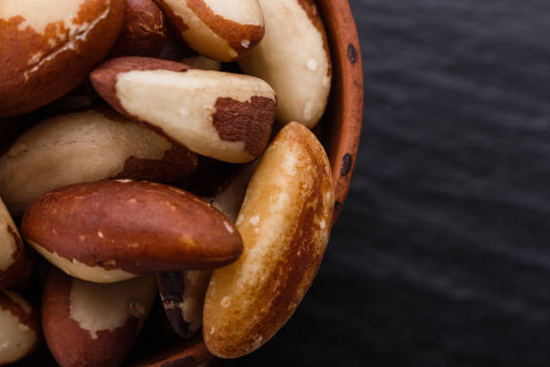 istock brazil nut on a dark stone background 1070029410