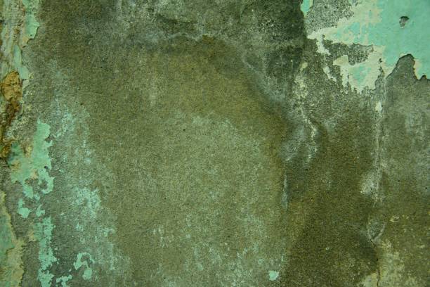 Backgrounds/Textures Green cement texture and background brown university stock pictures, royalty-free photos & images