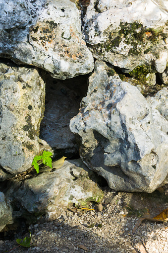 empty hole between some big rocks animal hideout