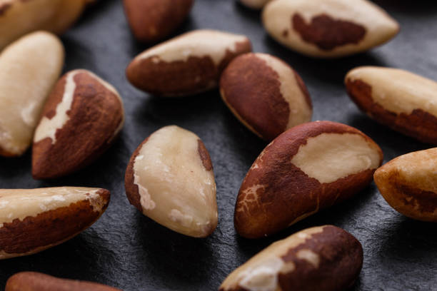 istock brazil nut on a dark stone background 1070036650