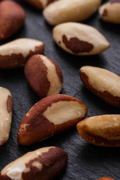istock brazil nut on a dark stone background 1070036702