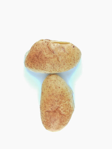 istock fresh baked homemade cheese bun in malaysia 1070037986