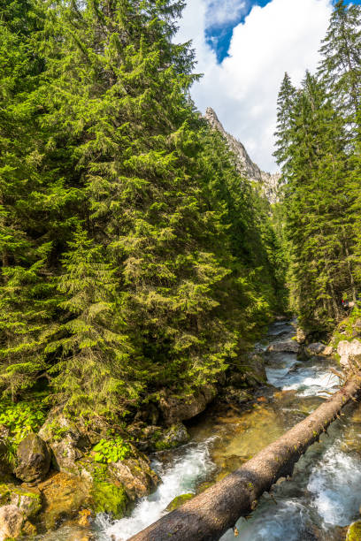 istock Mountain creek, landscape in spring 1070038274