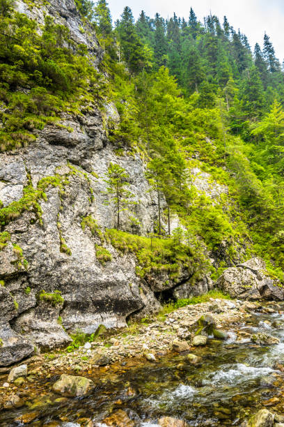 istock Mountain creek, spring landscape, water flowing from the source in canyon 1070038412