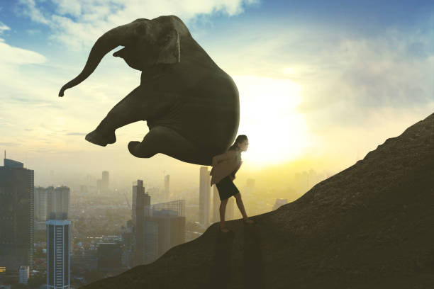 istock Businesswoman climb up a hill with an elephant 1070042006