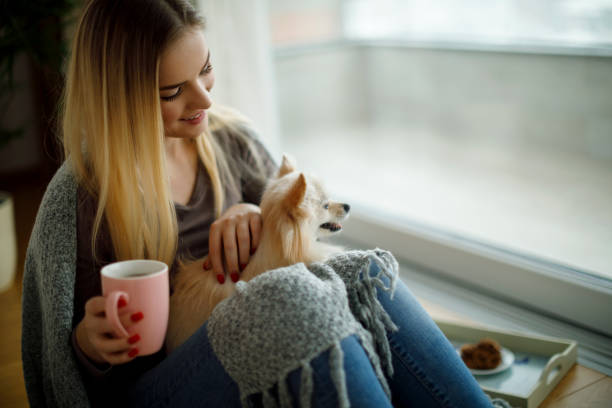 mujer jugando con su perro en casa - tea women beauty pampering fotografías e imágenes de stock