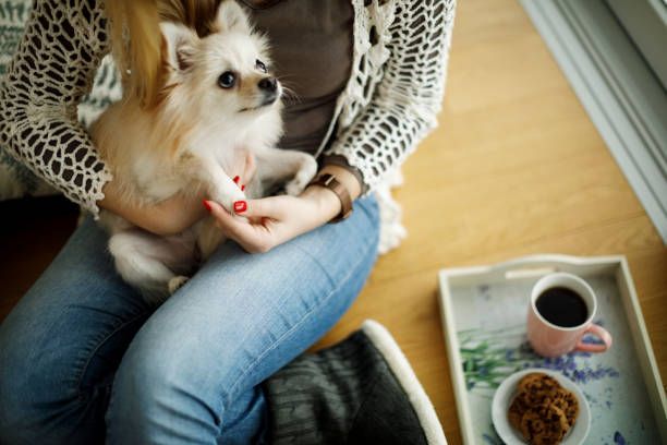 istock Woman relaxing at home with her dog 1070045066