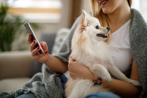 istock Young woman using mobile phone at home 1070045538