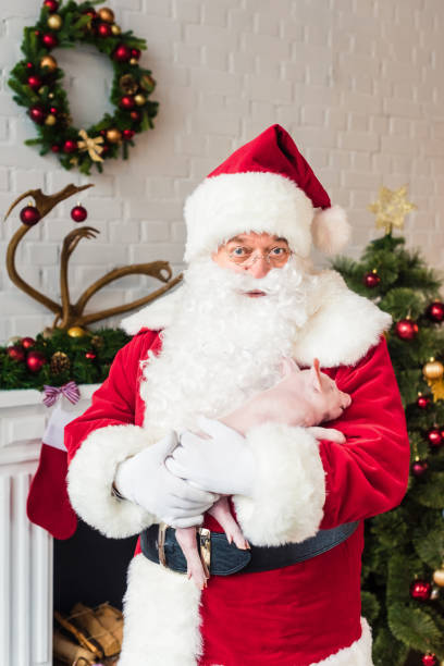 istock santa claus holding cute pig and looking at camera 1070046036