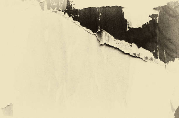 istock Blank brown beige old paper crumpled creased ripped torn posters grunge textures backdrop backgrounds surface 1070047776