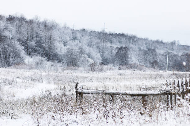 istock Landscape in the winter cloudy day 1070054088