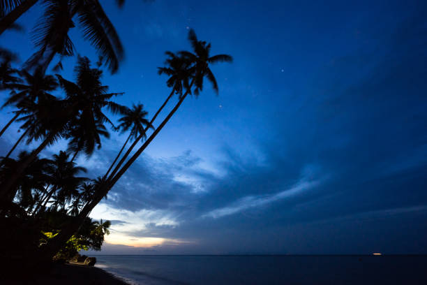 istock silhouette of coconut palm trees by the seaside 1070054574