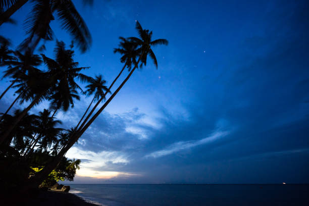 istock silhouette of coconut palm trees by the seaside 1070054698
