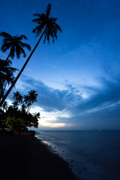 istock silhouette of coconut palm tree by the seaside 1070056318