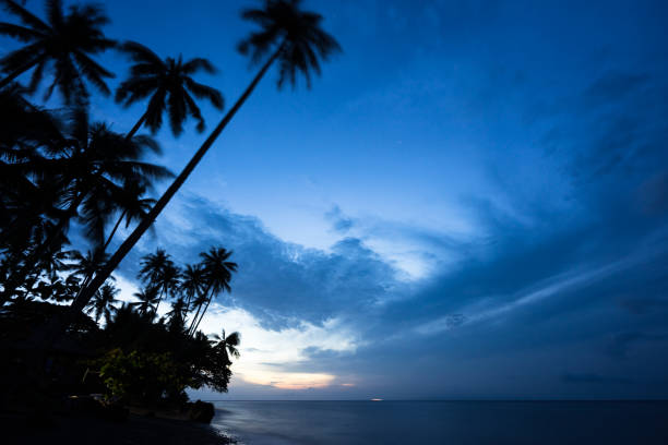 istock silhouette of coconut palm tree by the seaside 1070056366