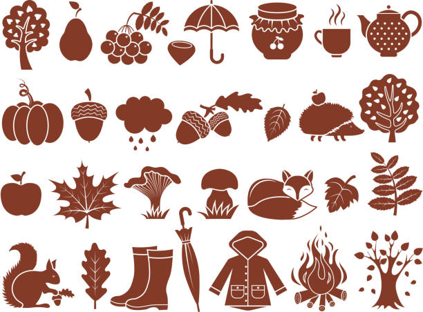 ilustraciones, imágenes clip art, dibujos animados e iconos de stock de silueta de símbolos de otoño. conjunto de iconos monocromo de otoño - macintosh apple