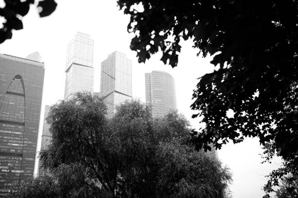 istock Business center with high skyscrapers 1070061964