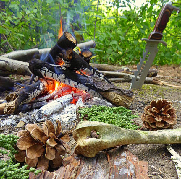 acampamento de sobrevivência - melden - fotografias e filmes do acervo