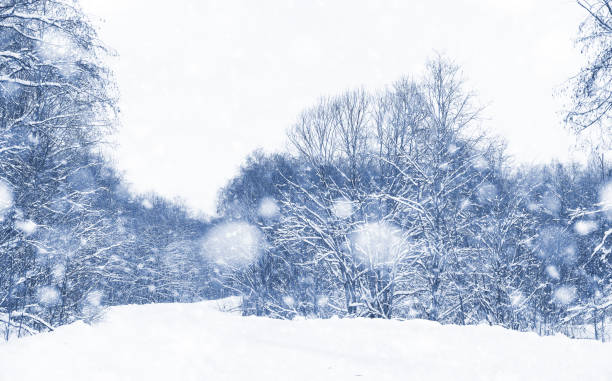 istock Landscape in the winter day 1070067604