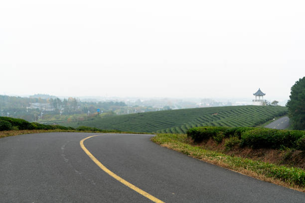 route de campagne - winding road country road lane tea crop photos et images de collection