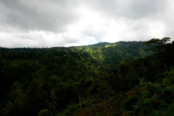 istock Rolling gren hills of Moshi 1070080876