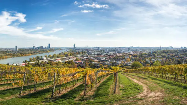 beautiful panoramic view of Vienna, Austria after a short hike on the Nussberg hill