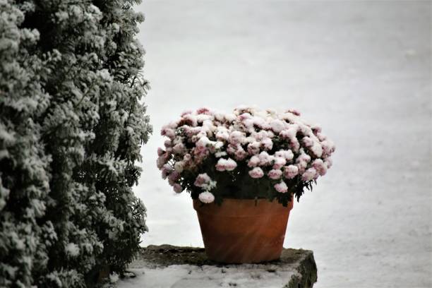 istock An Image of a winter autumn 1070081434