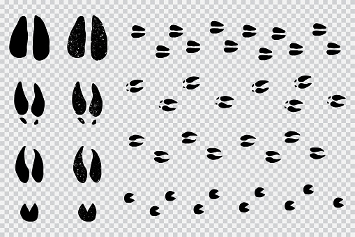 Deer and moose tracks vector footprint set.