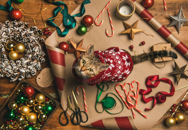 istock Flat-lay of Christmas decorations and cat in sweater 1070085898