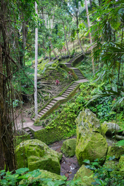 istock Stone slab stairs up a small hill under green tree 1070091344