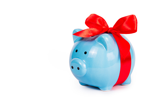 Blue piggy bank on white background. Piggy  bank with red bow. Copy space