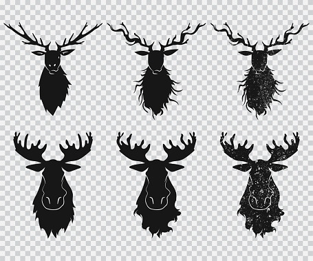 Deer, elk, moose head vector set.