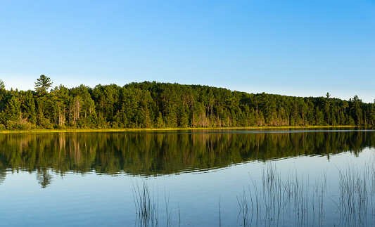 A panoramic image of a tranquil Michigan lake.  The blue sky and treelined shore are reflected in the beautiful water.