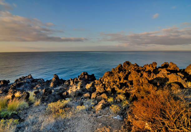 Dry Lava Coast Beach in the Atlantic Ocean