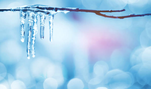 Icicles on tree branch Spring bright background with icicles on branch of tree icicles melting stock pictures, royalty-free photos & images