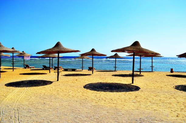 istock Beach, Marsa Alam,Red sea,Egypt 1070137344