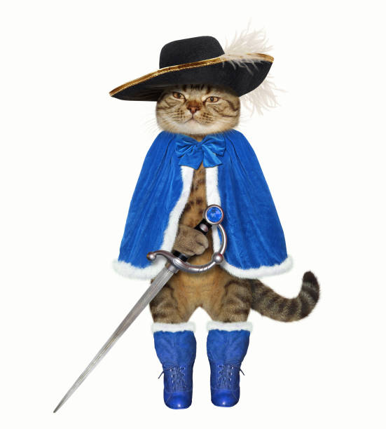 Cat in a blue cloak with a sword The cat musketeer in a blue cloak and a black hat with a feather holds a sword. White background. black cat costume stock pictures, royalty-free photos & images