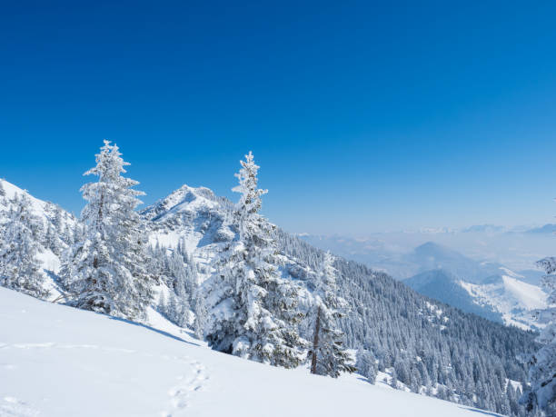 istock Winter in the mountains 1070143108