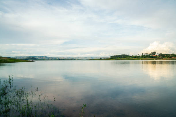 krajobraz jeziora damed w: minas gerais - flowing water ripple day plant zdjęcia i obrazy z banku zdjęć