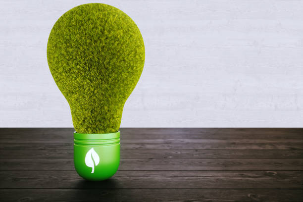 istock Abstract light bulb with grass body on wooden background 1070150178