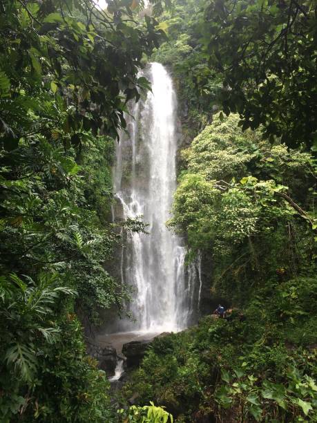 cascata tropicale - strada per hana - waterfall maui hana coast hawaii islands foto e immagini stock