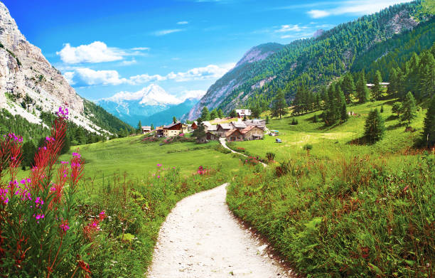 summer landscape in the french alps. - france european alps landscape meadow imagens e fotografias de stock