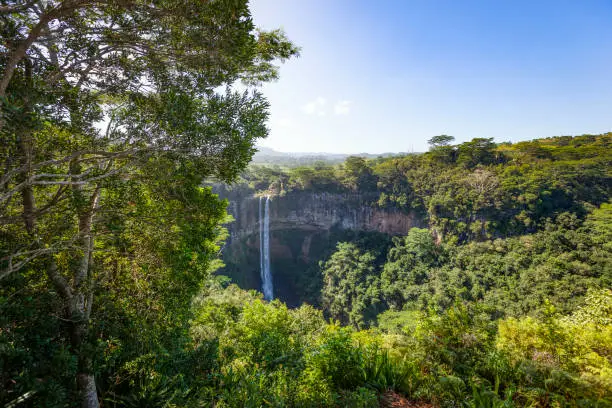 Photo of chamarel waterfalls on mauritius island, africa