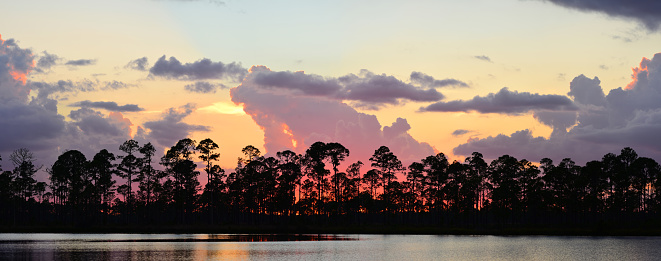 Pine trees lining a forest lake with sun just below the horizon, lighting up the storm clouds along Florida's Lake Wales Ridge area. Nikon D750 with Nikon 200mm macro lens