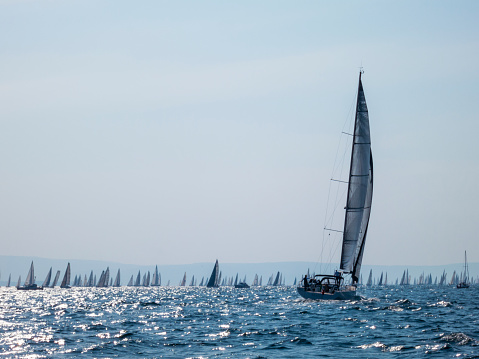 Barcolana, sailing boats in Trieste Italy, during the biggest regatta in the word.