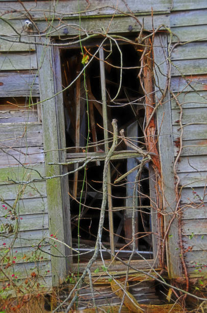 istock Door Opening in Abandon House 1070159596